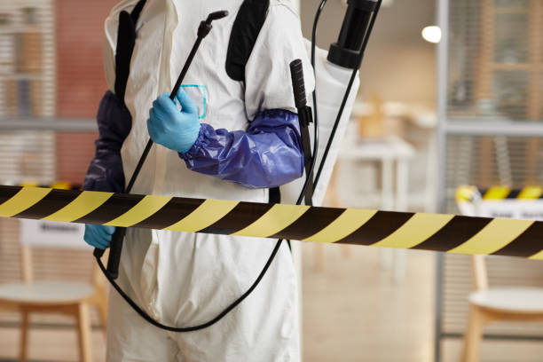 Professional Sewage Cleanup technician working in Euless, TX